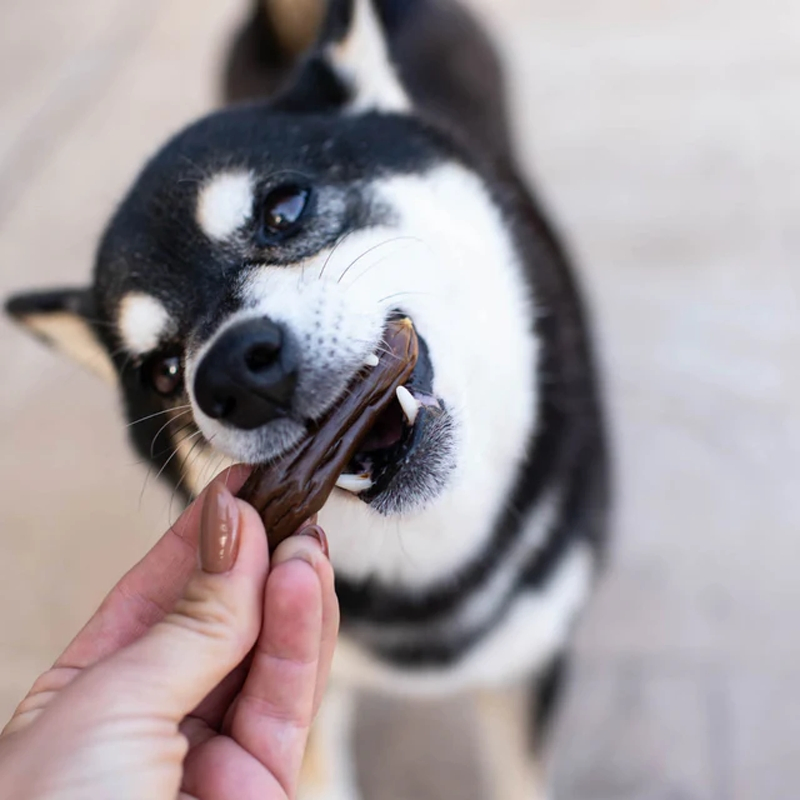 Slow Roasted Beef Sausage Soft &amp; Chewy Dog Treats