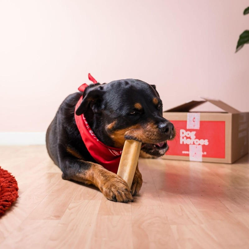 Manufacture OEM/ODM, Yak Milk for Dogs - Relaxing and Durable 4.9-5.5oz (138-155g) Dog Treats