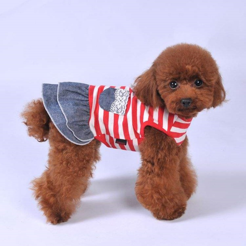 High-Quality Polyester Pet Apparel: Fashionable Summer Puppy Crew Neck Sweater