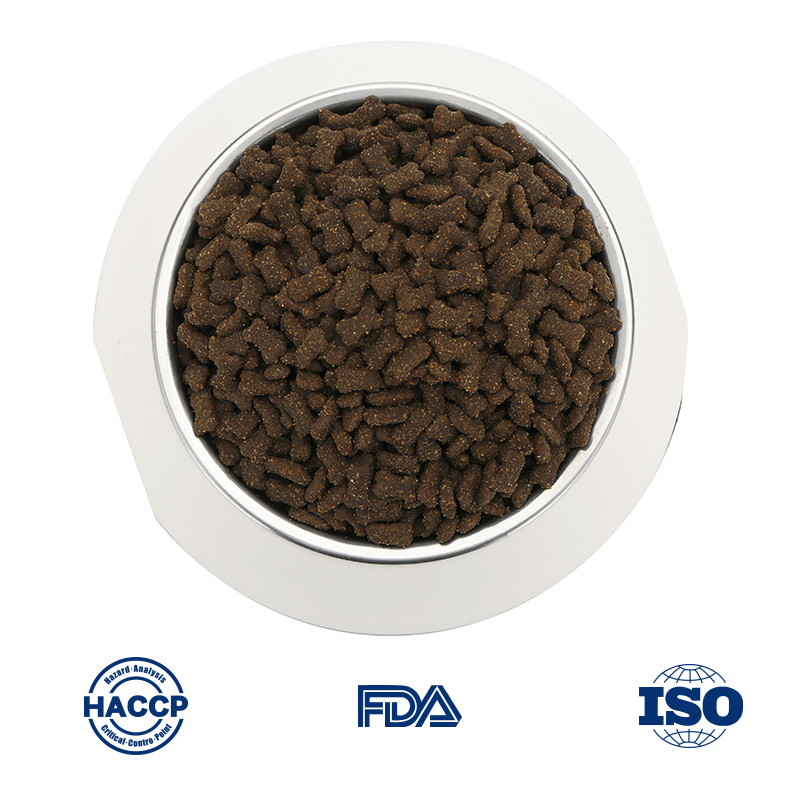 Premium Large Breed Puppy Kibble for Global Wholesale Distribution