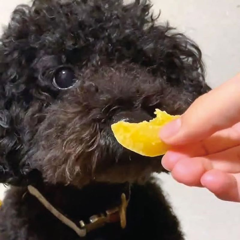 Sozai Sono Mama, Sweet Potato, Soft Chips Type, 5.3oz (150g) , Dog Snack