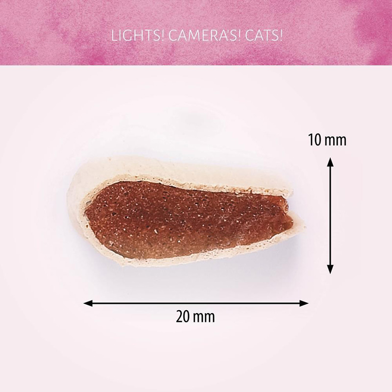 All Natural Chicken &amp; Haddock Flavor 3.5oz (100g) Soft Cat Treats