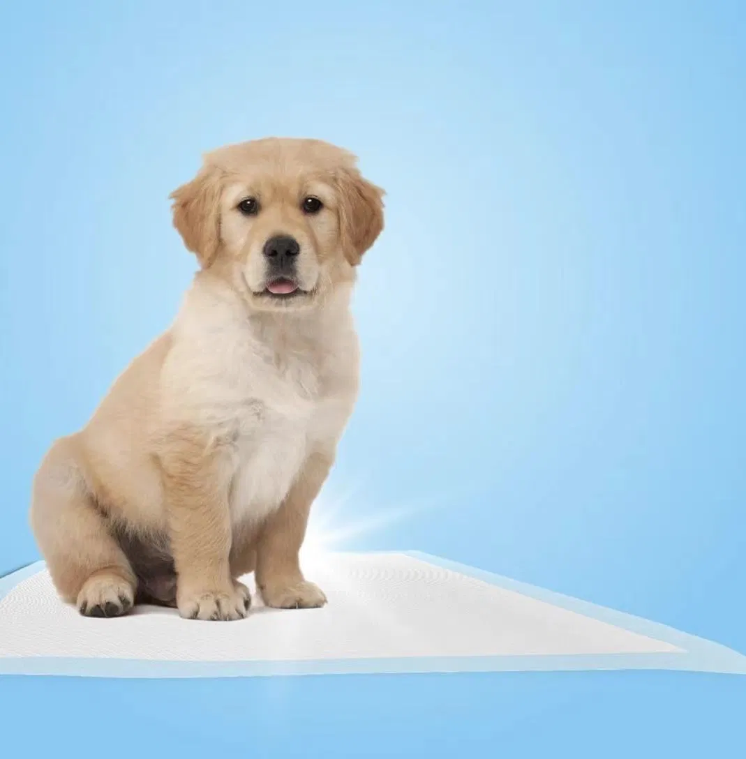 Highly Absorbent Pet Training Mats for Puppy and Dog Care