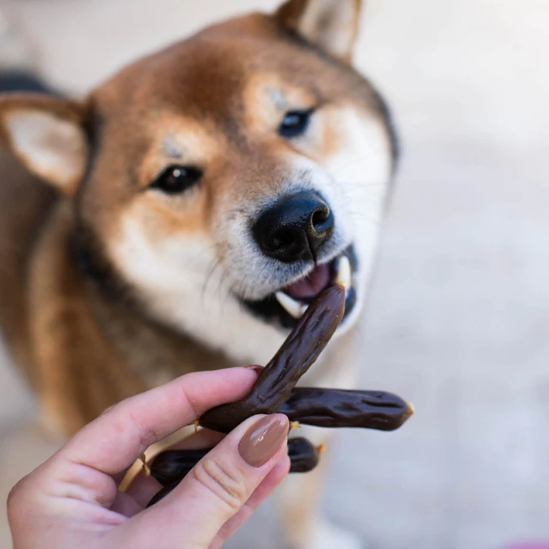 Slow Roasted Beef Sausage Soft &amp; Chewy Dog Treats