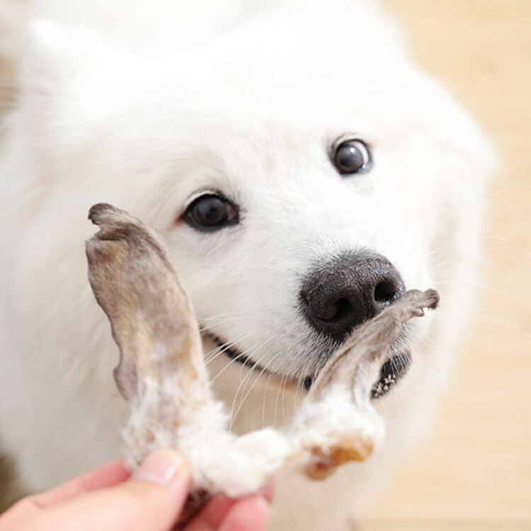 100% Organic Natural Rabbit Ear Dog Cat Treats Meat-Based Food Safe Pet Snacks ODM OEM