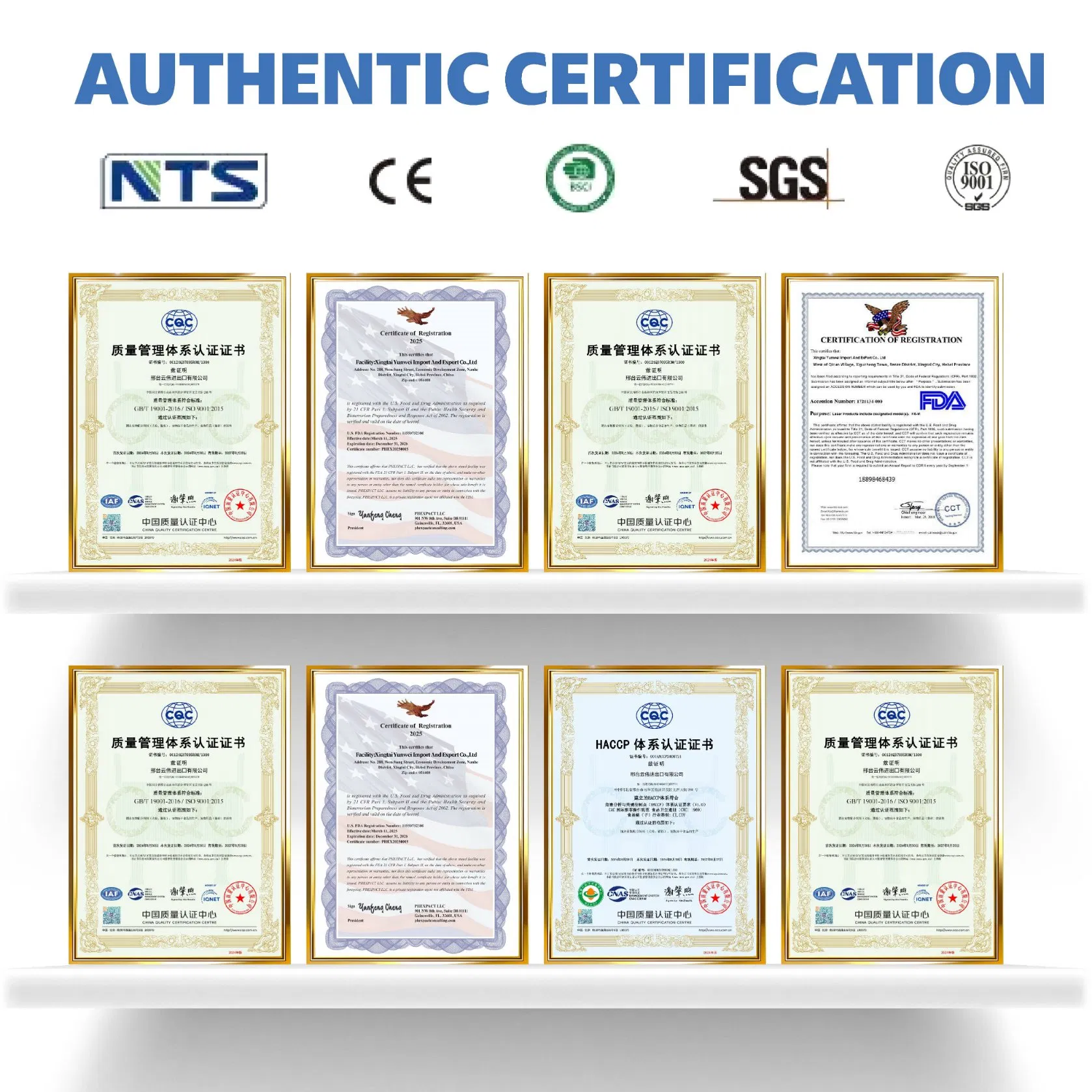 Premium Wet Cat Food Dog Creamy Treats Pet Animal Feed Food Supply