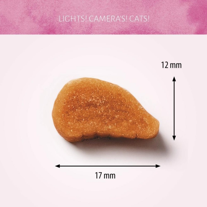 All Natural Smoked Mackerel Flavor 1.8oz (50g) Soft Cat Treats