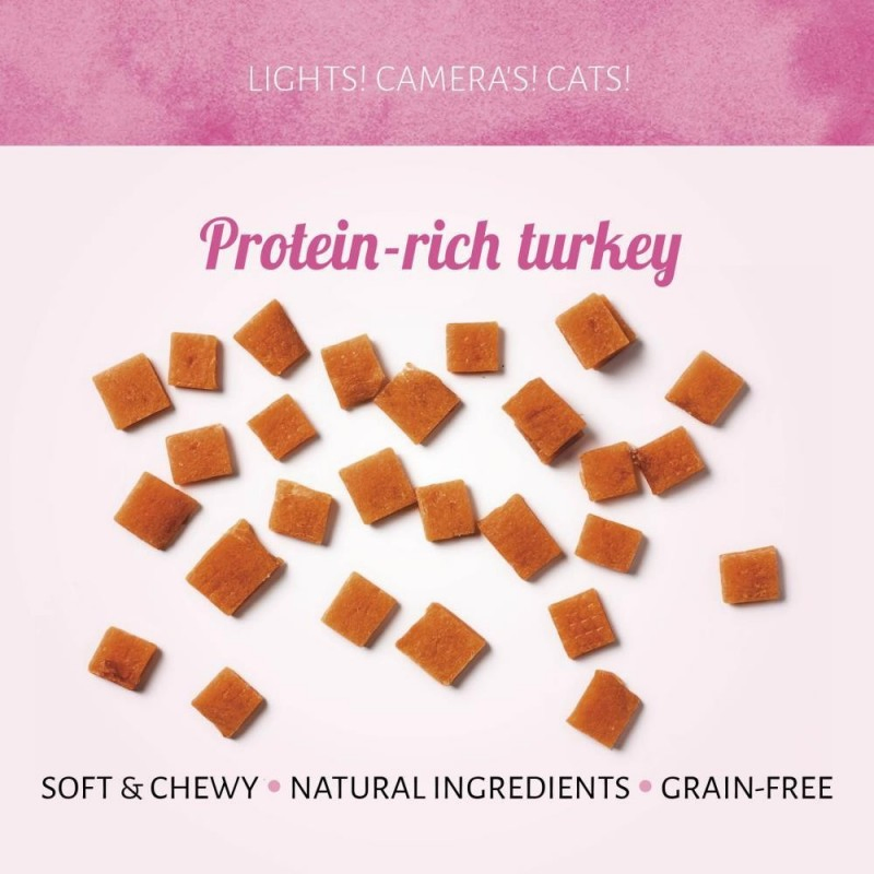 All Natural Roasted Turkey Flavor 1.8oz (50g) Soft Cat Treats