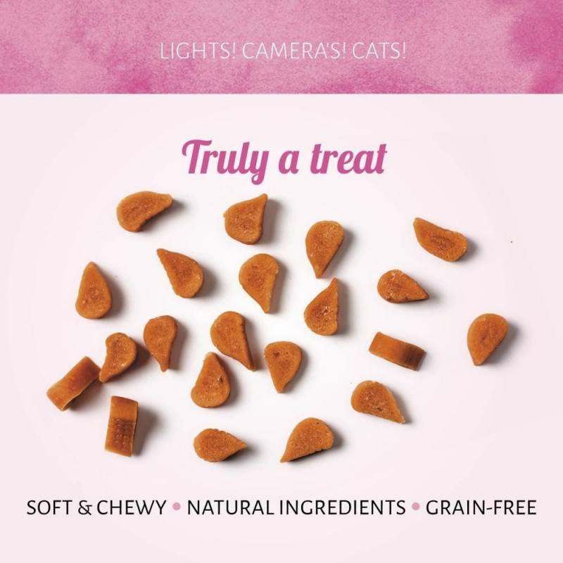 All Natural Smoked Mackerel Flavor 1.8oz (50g) Soft Cat Treats