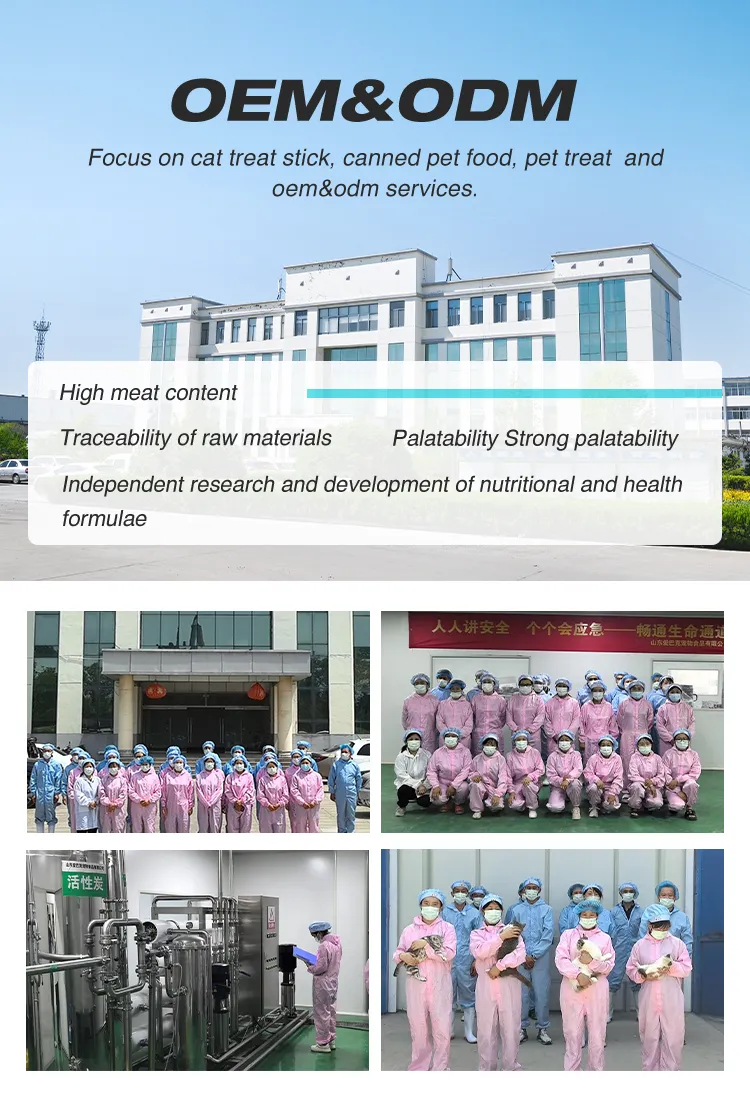 Premium Pet Sausage Treats