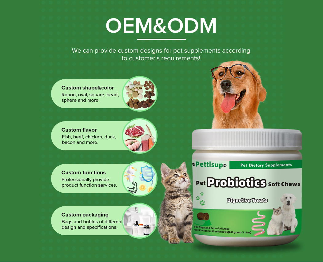 Custom Factory Probiotic Nutritional Cat Supplement Digestive Support Sensitive Stomach OEM