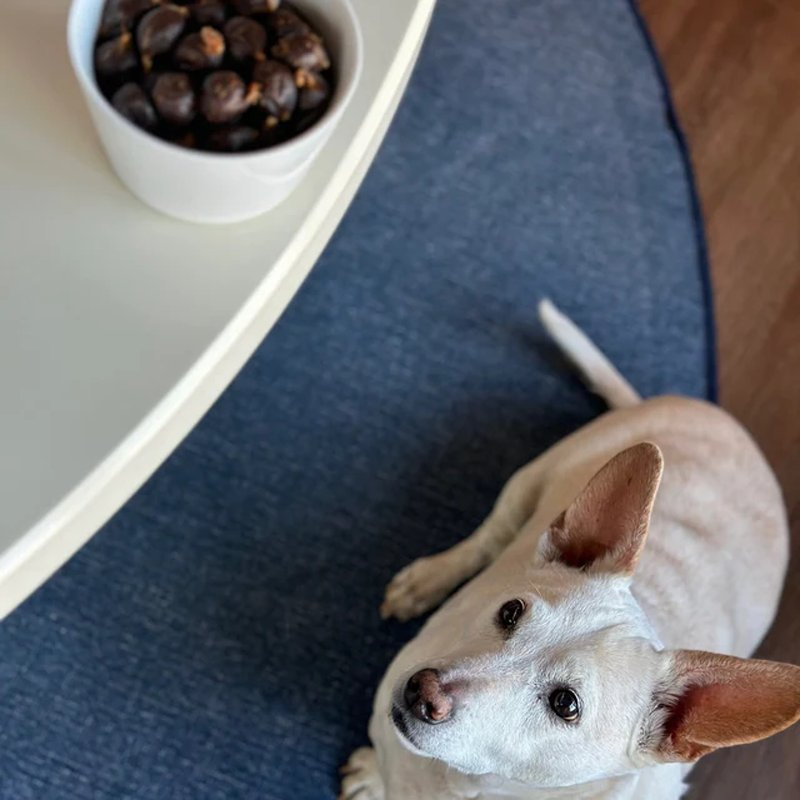 Slow Roasted Beef Pearls Soft &amp; Chewy Dog Treats