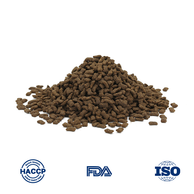 Premium Large Breed Puppy Kibble for Global Wholesale Distribution