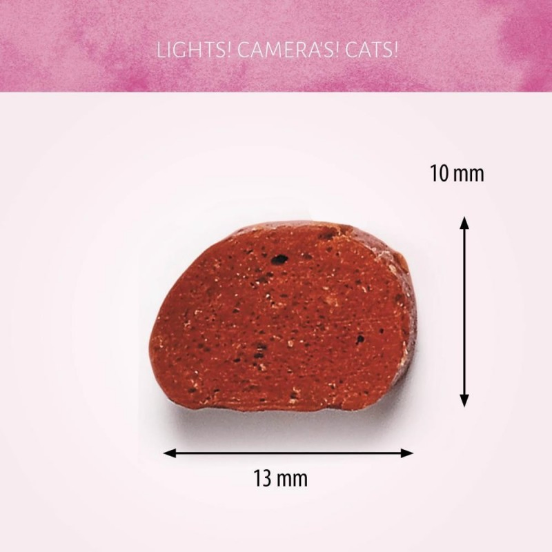 All Natural Spiced Lamb Flavor 1.8oz (50g) Soft Cat Treats