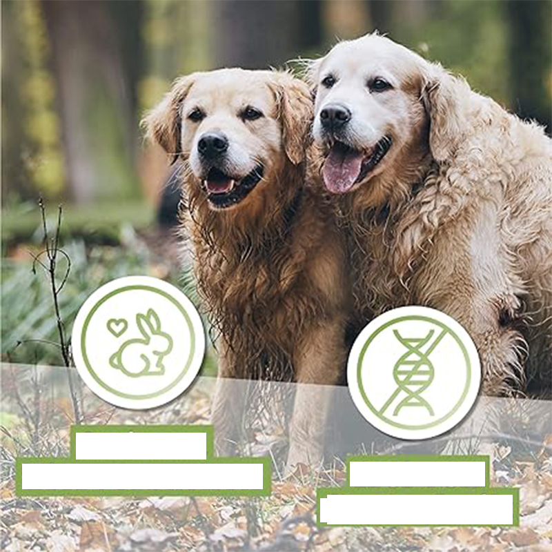 Manufacture OEM/ODM, Lucky Bits Rabbit &amp; Chicken Senior 2.82oz (80g) Dog Treats