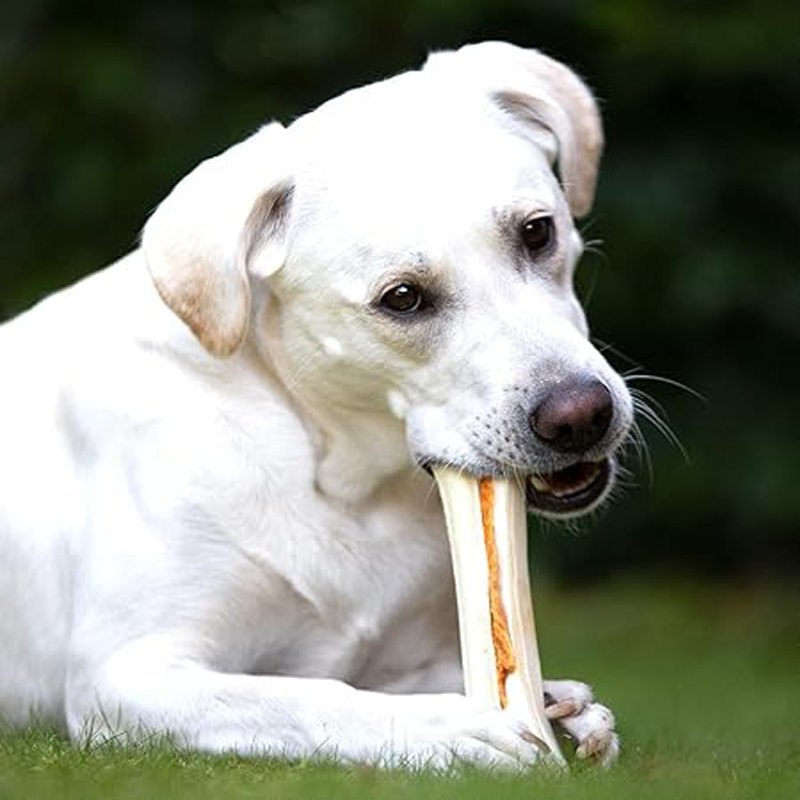 Strong Bones L 130g Dog Treats