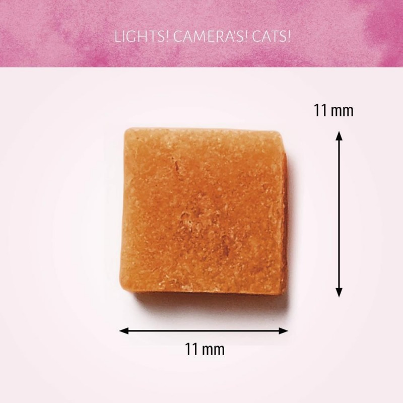 All Natural Roasted Turkey Flavor 1.8oz (50g) Soft Cat Treats