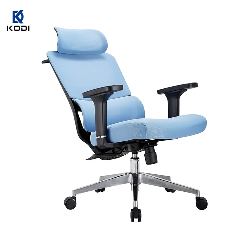 Kodi Commercial Chair Multi-Functional Executive Office Furniture Ergonomic Mesh Office Seating Chair