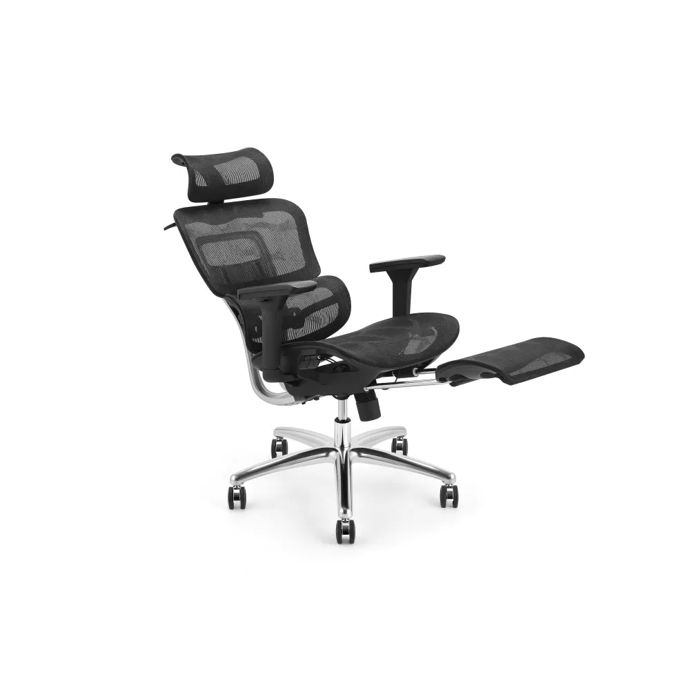 Ergonomic Chair View 1