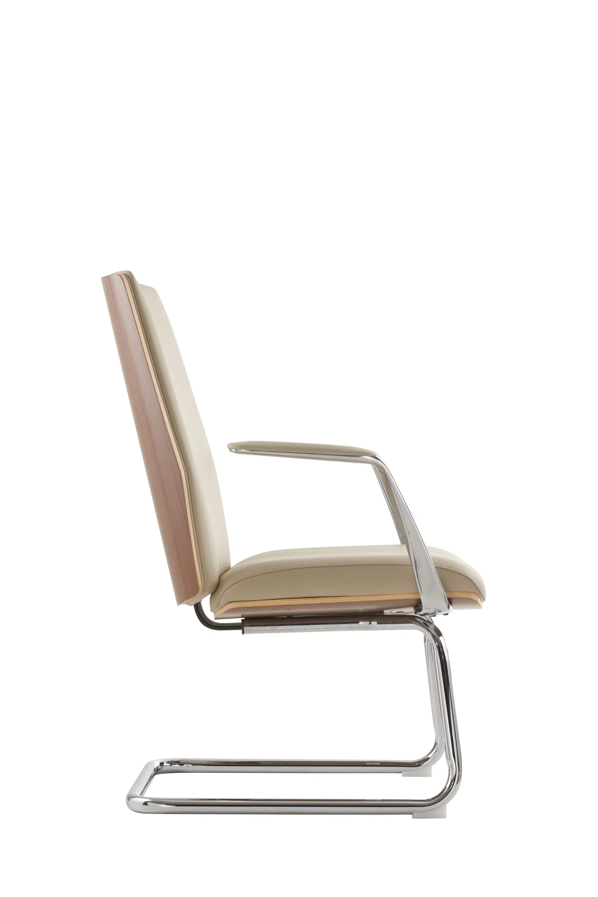 Ergonomic Chair Back View