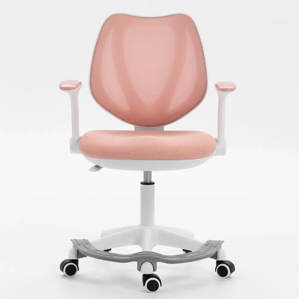 All-Feature Kids Task Chair - Breathable Mesh, Adjustable Support System (Arms/Height/Footrest) , Brake Wheels for Safety