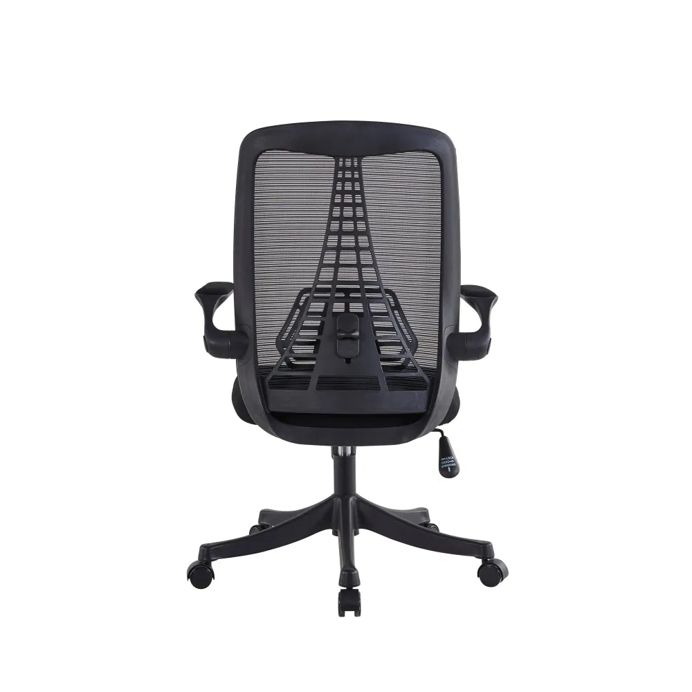 Ergonomic Chair View 5