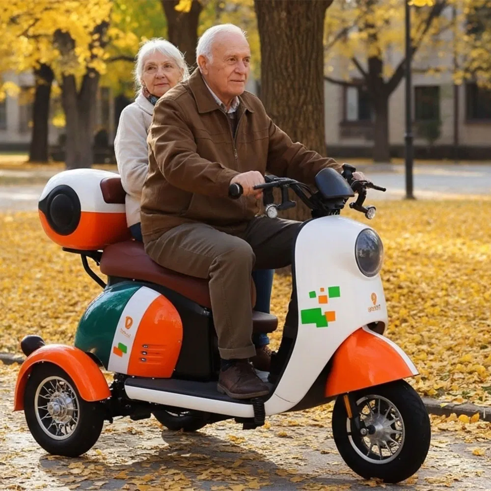 Hld Customized 3-Wheeled Electric Tricycle 3-Seater Electric Scooter