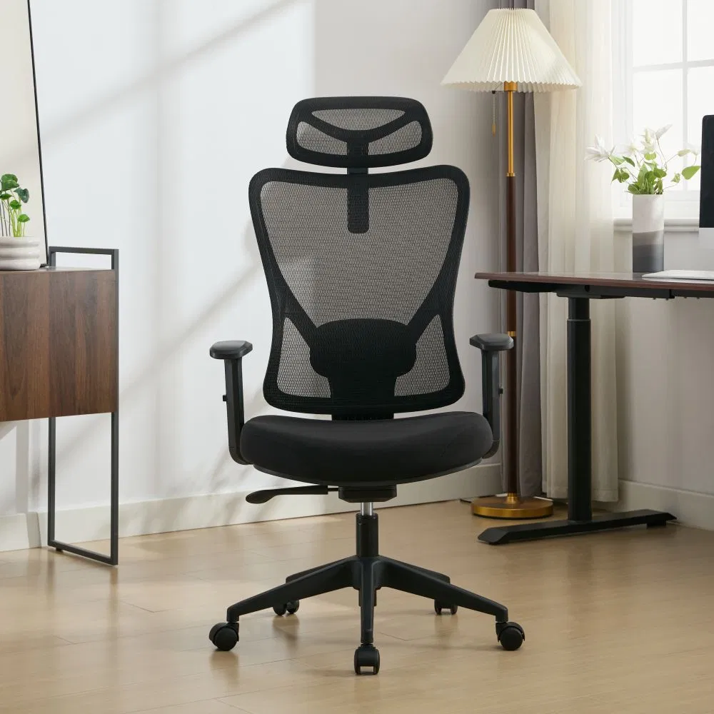 Ergonomic Chair Front View