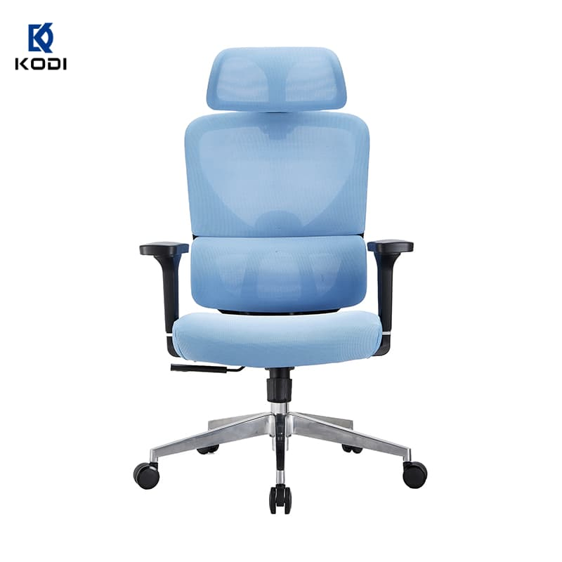 Kodi Commercial Chair Multi-Functional Executive Office Furniture Ergonomic Mesh Office Seating Chair