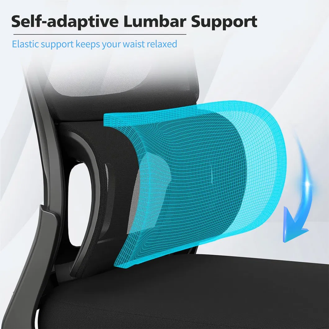 Chair Adjustability Features