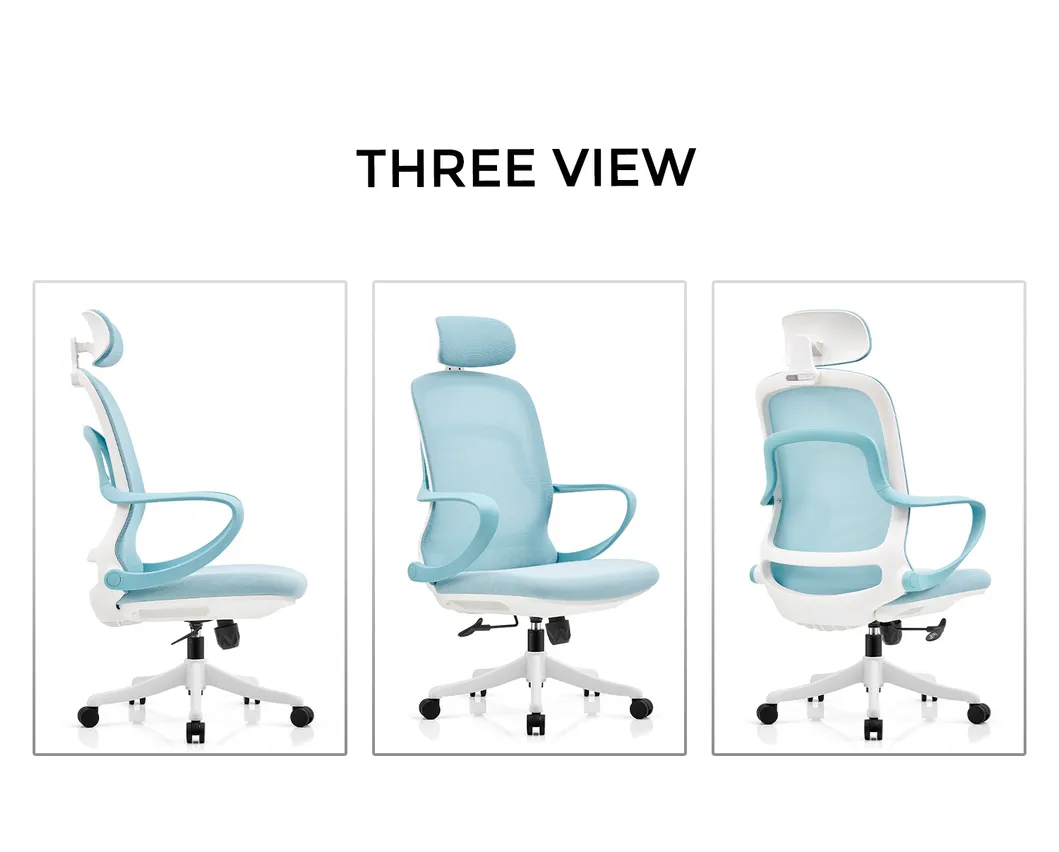 Ergonomic Chair 2