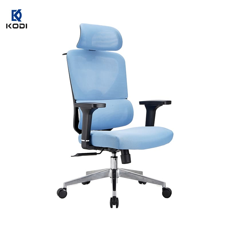 Kodi Commercial Chair Multi-Functional Executive Office Furniture Ergonomic Mesh Office Seating Chair
