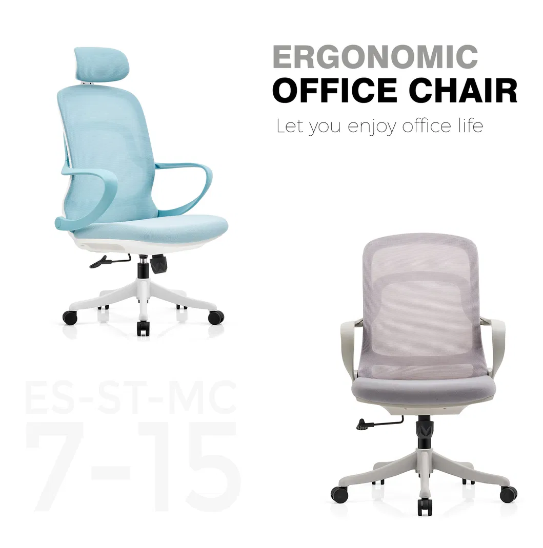 Ergonomic Chair 1
