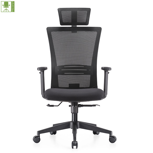 Modern Mesh Executive Office Seating with Lumbar Support