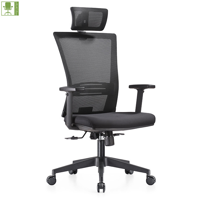 Modern Mesh Executive Office Seating with Lumbar Support