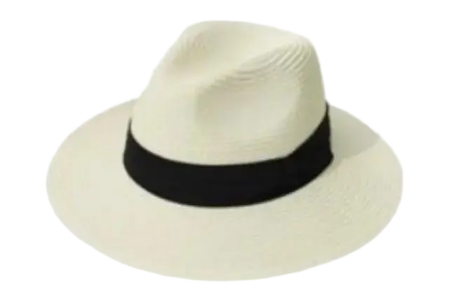 Famous Wholesale Straw Hats – Low-Cost OEM Custom Designs Manufacturers, Exporter