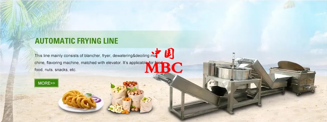 Frying Production Line