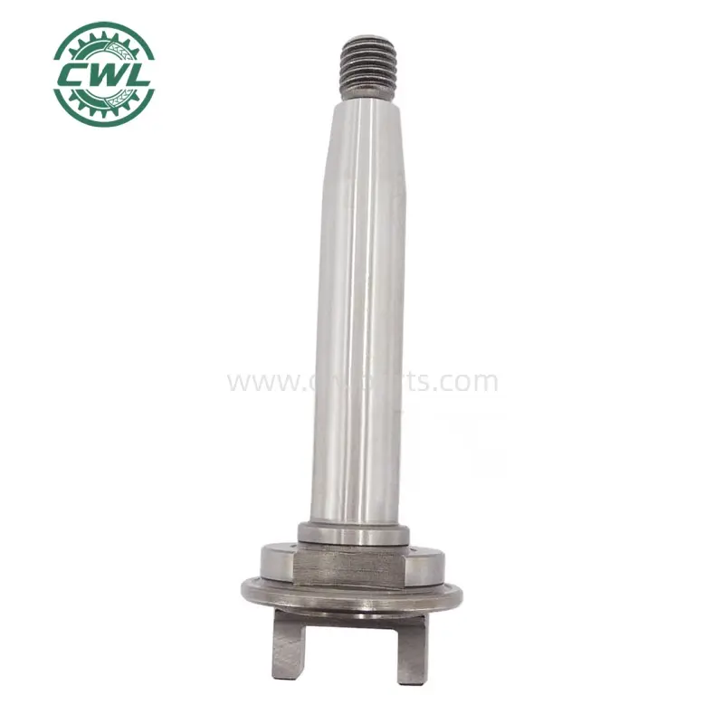 Custom 1 466 100 325 Drive Shaft - 20MM VE Pump Drive Shaft for Diesel Engines 1466100325 Manufacturers, Exporter