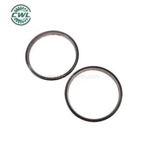 High-Quality 3S-0303 Double Tapered Face, Class B seal 3S0303 Manufacturers, Suppliers