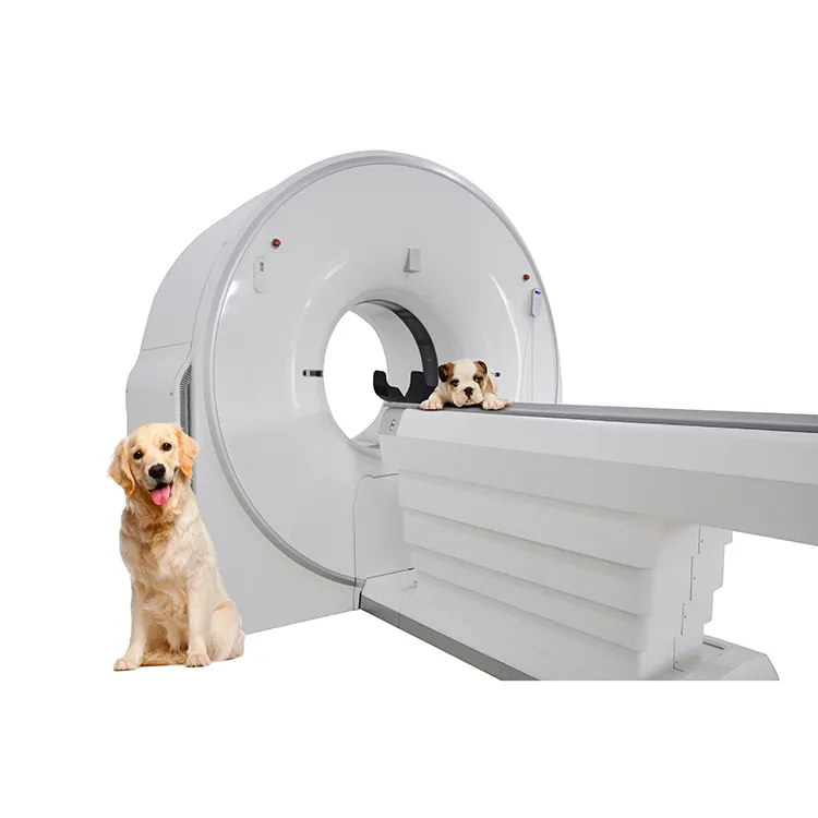 Veterinary 32 Slice CT System