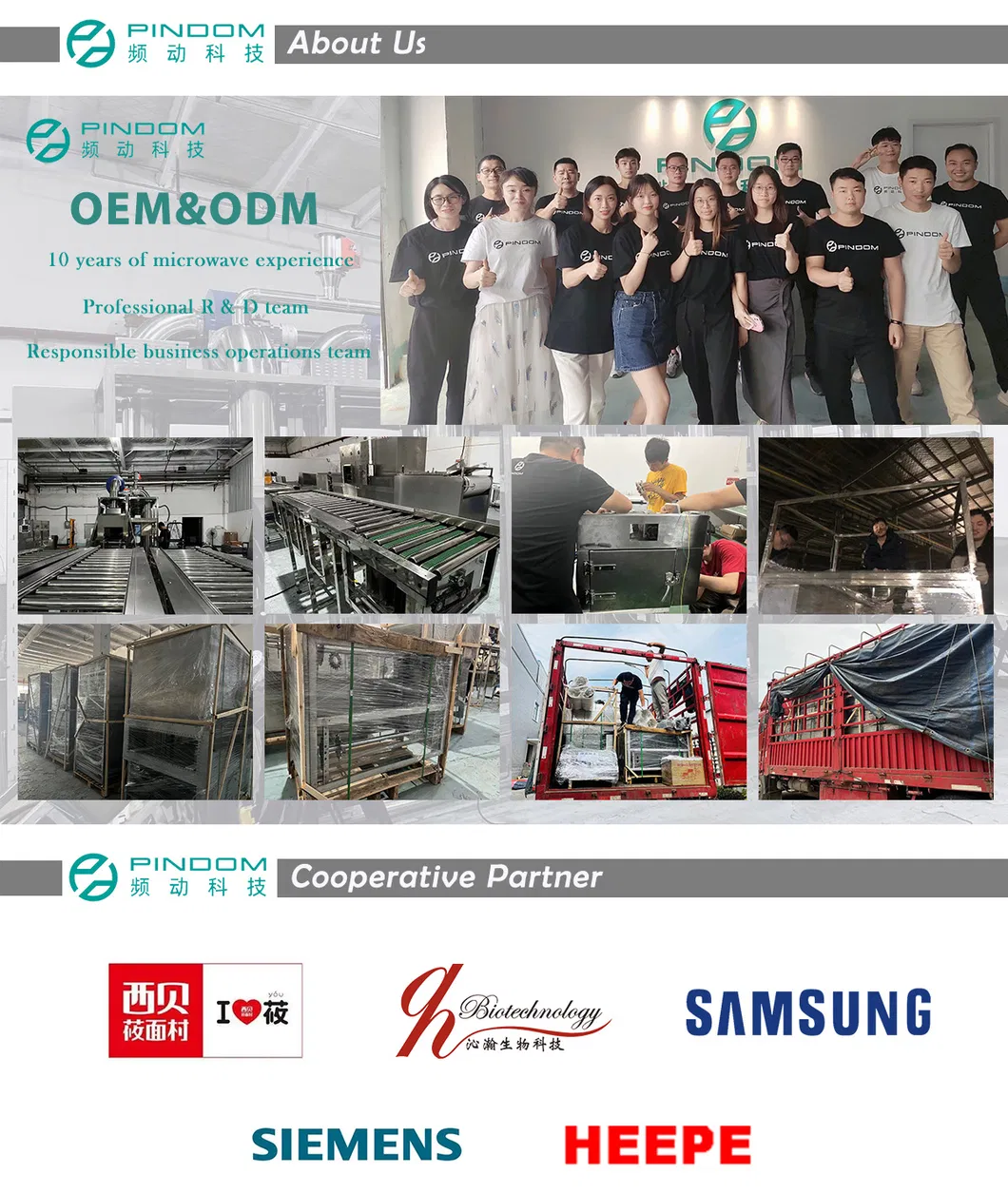 Microwave Internal View