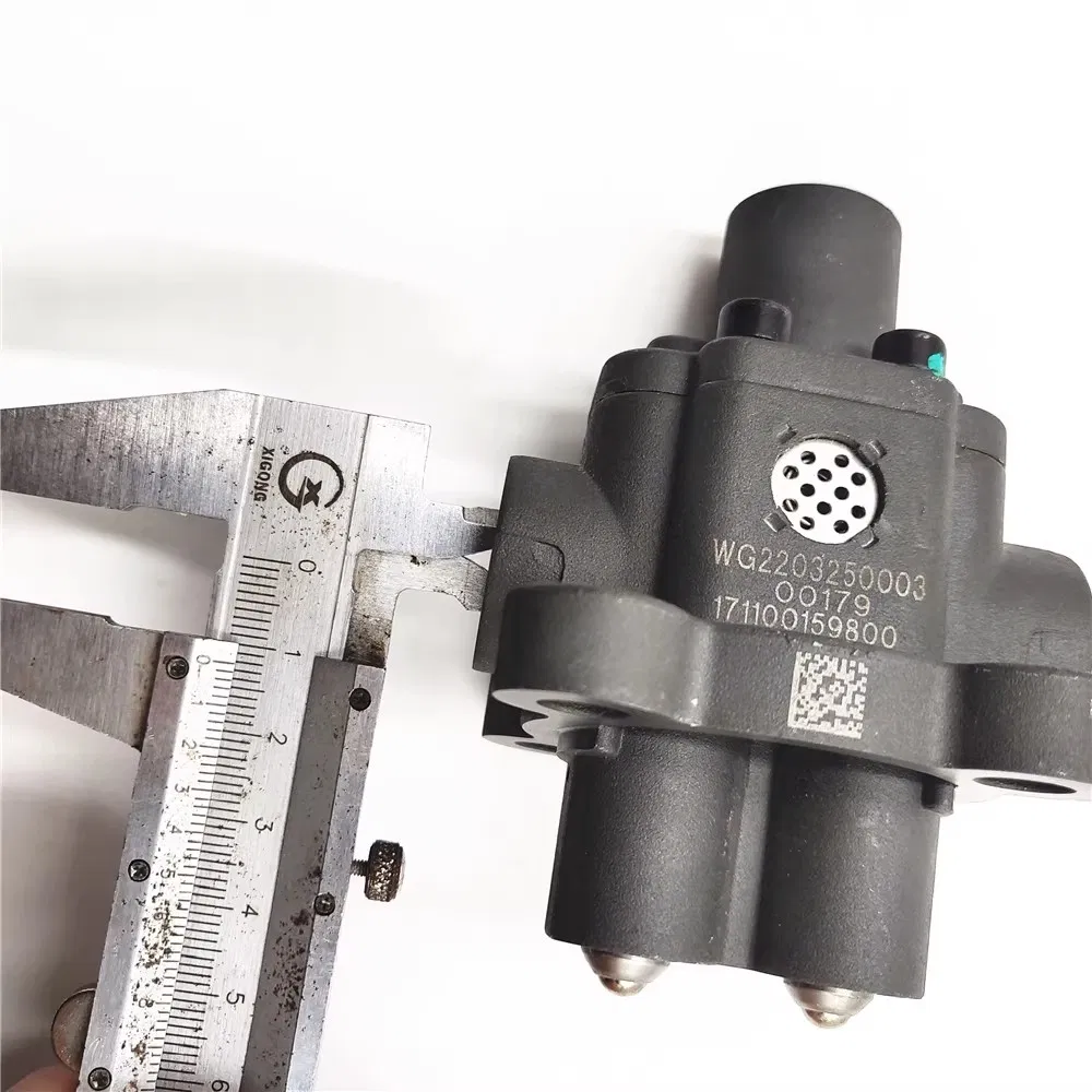 High Quality and Durable HOWO Fuel Pump 1015569248 Used for Heavy Machinery Systems for HOWO Engines