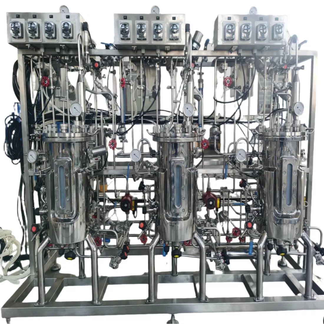 Pharmaceutical Parallel Stainless Steel Fermenter System