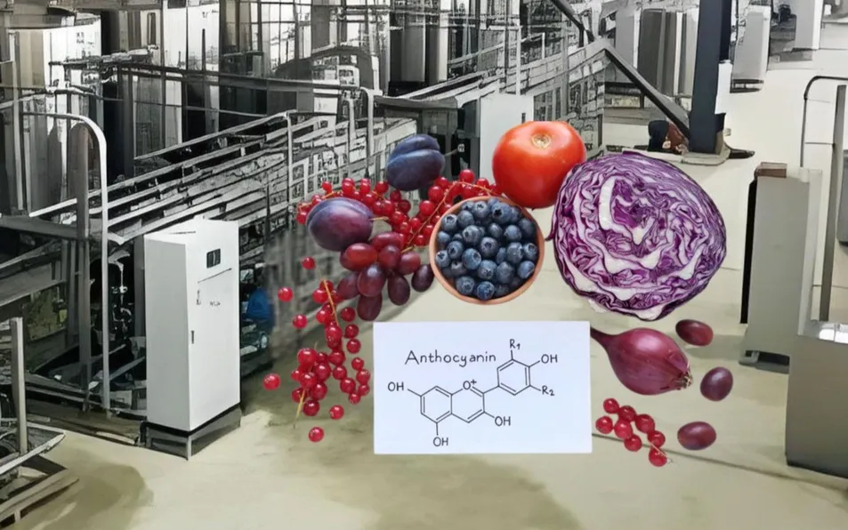 Membrane Separation Unit
