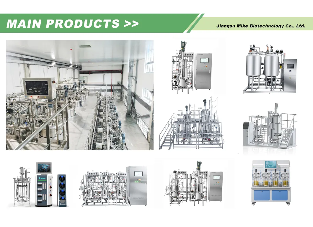 Main Fermentation Products