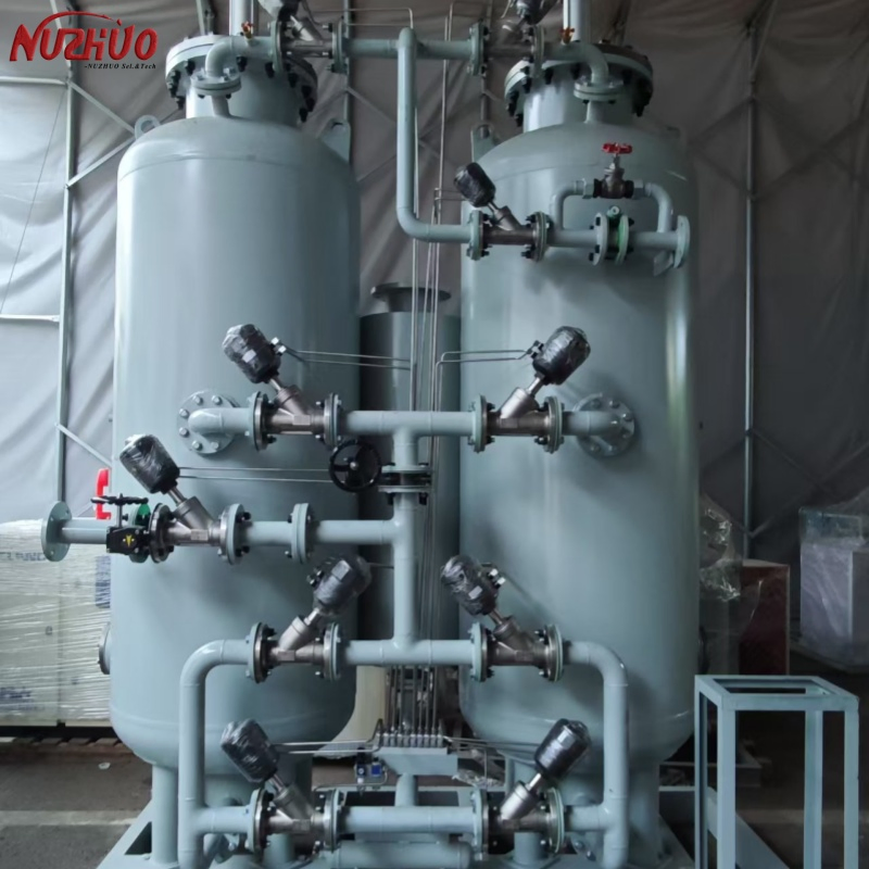 Nuzhuo Psa Nitrogen Generator 99.9% Purity N2 System for Packing Machine