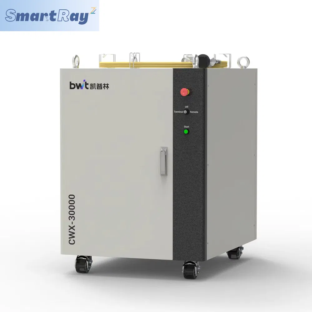 Advanced Smartray Bwt Fiber Laser System for Precision Cutting