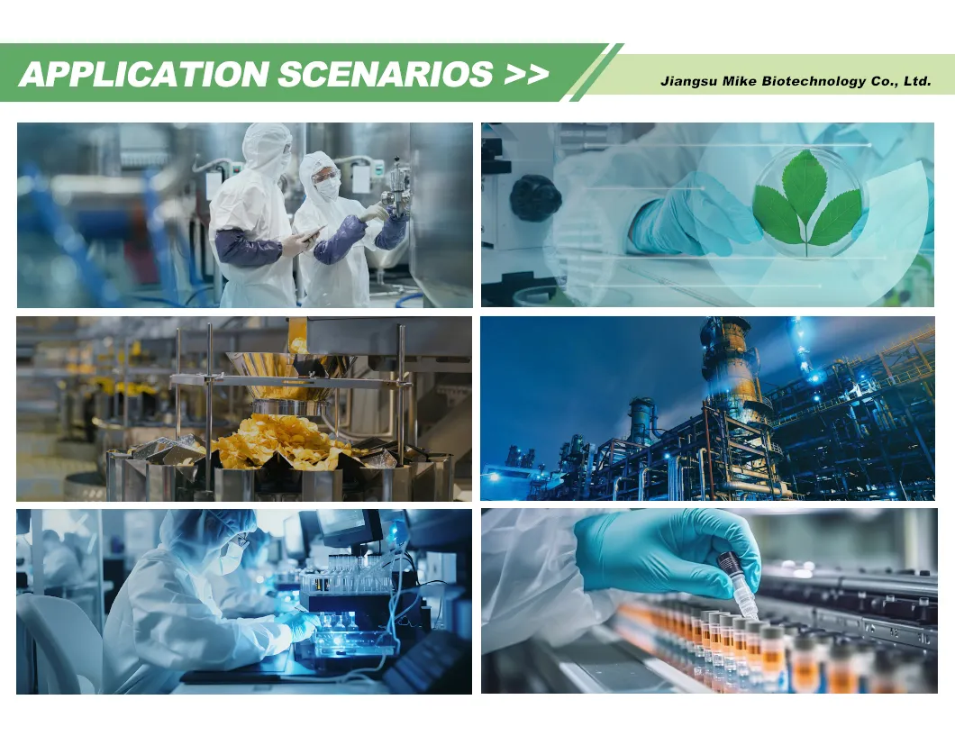 Bioreactor Equipment