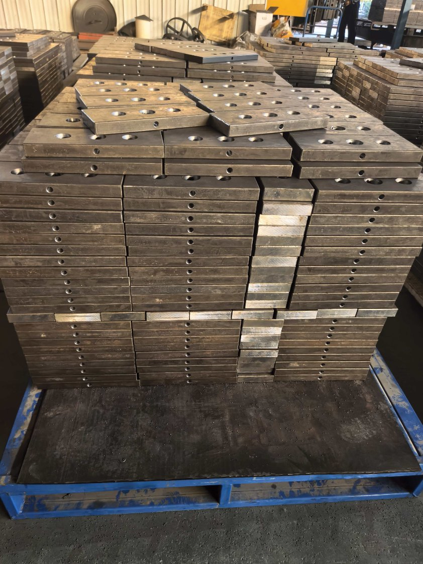 Selectorized Weight Stack System with Safety Lock Mechanism