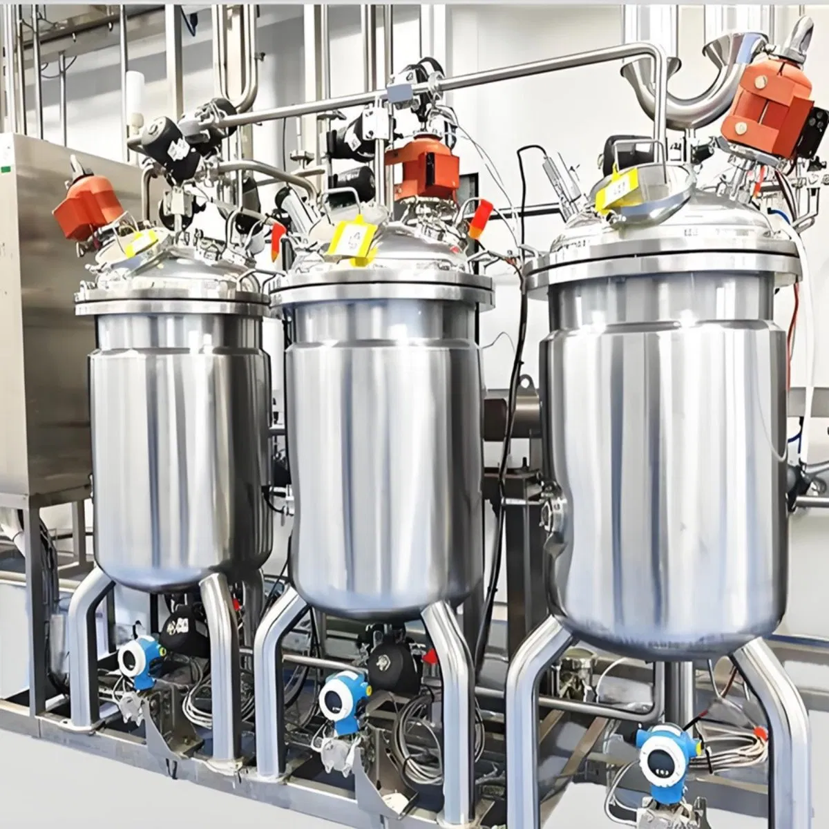 Mobile CIP System for Small Scale Fermenter Plant